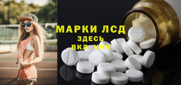 шишки Верея