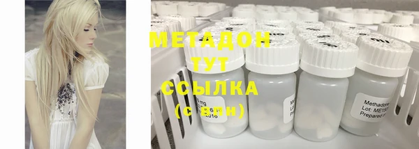 индика Бородино