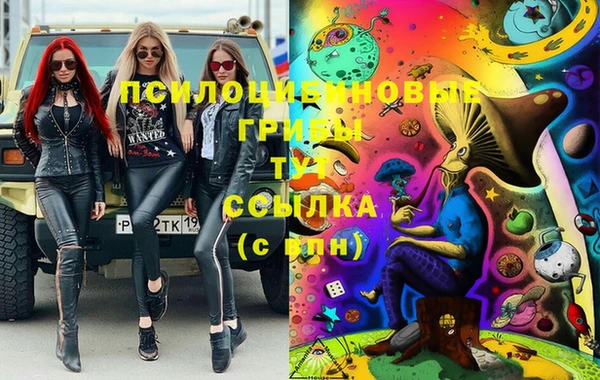 шишки Верея