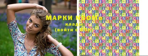 шишки Верея