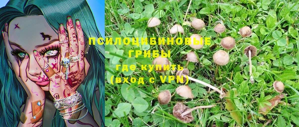ПСИЛОЦИБИНОВЫЕ ГРИБЫ Приозерск