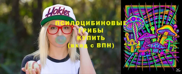 индика Бородино