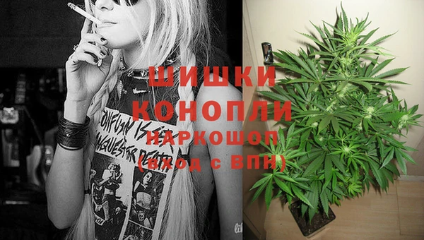 ешки Верхний Тагил